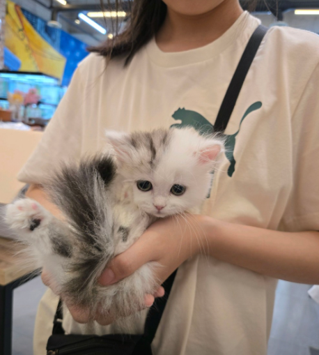 네이버리뷰_상세페이지_1