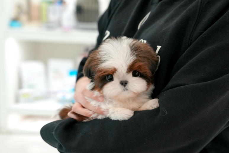KakaoTalk_20261013_173635119.png
