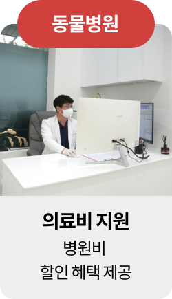 미유펫울산혜택_섹션1_1