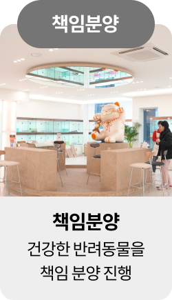 미유펫울산혜택_섹션1_14