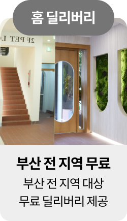 미유펫울산혜택_섹션1_15