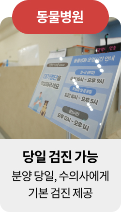 미유펫울산혜택_섹션1_3