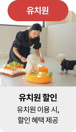 미유펫울산혜택_섹션1_5