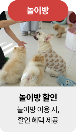 미유펫울산혜택_섹션1_6