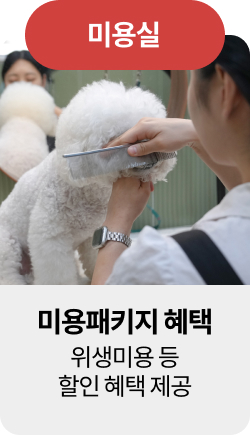 미유펫울산혜택_섹션1_8