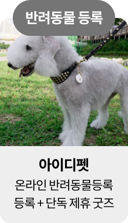 미유펫울산혜택_섹션1_9