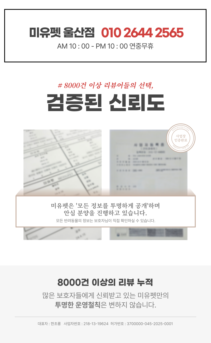 상세이미지_지점정보