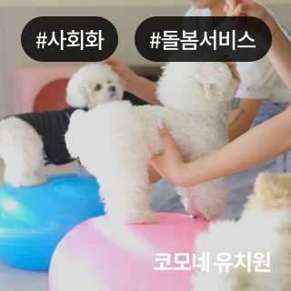 미유펫_회사소개_섹션_1_1