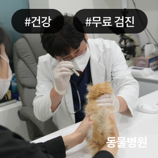 미유펫_회사소개_섹션_1_2
