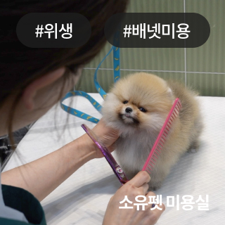 미유펫_회사소개_섹션_1_3
