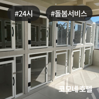 미유펫_회사소개_섹션_1_4