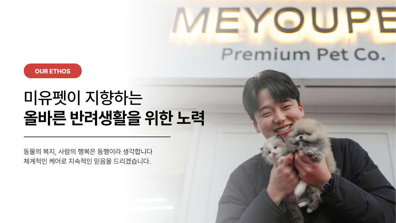미유펫울산 메인 슬라이드1