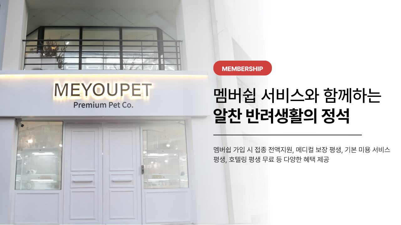 미유펫울산 메인 슬라이드2
