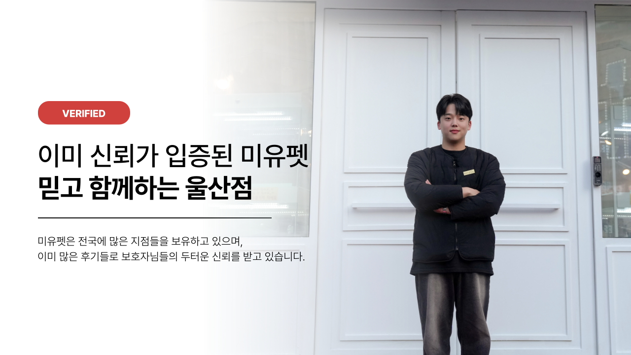 미유펫울산 메인 슬라이드3
