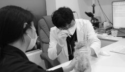 미유펫메뉴_2_2_off